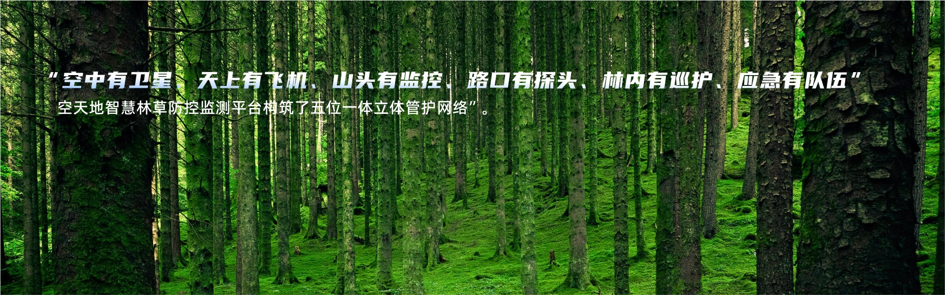 数字林业